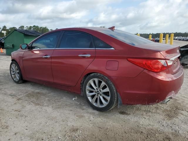 2013 Hyundai Sonata SE