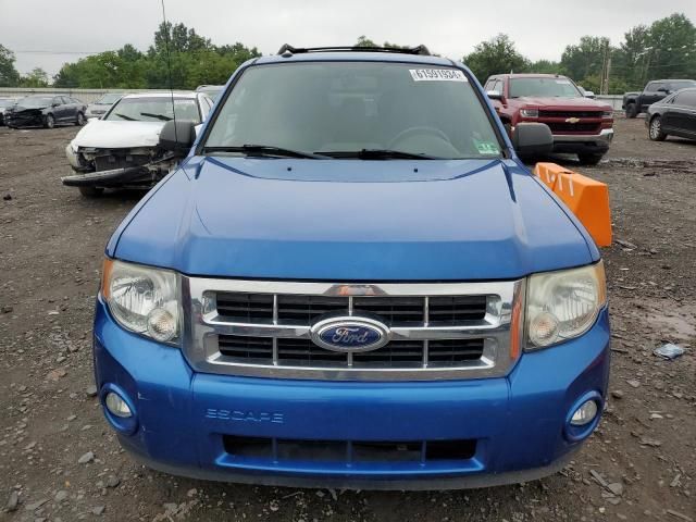 2011 Ford Escape XLT