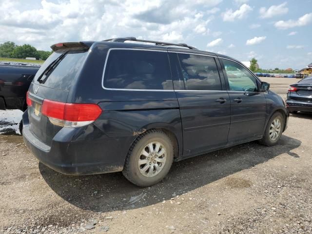 2010 Honda Odyssey EXL