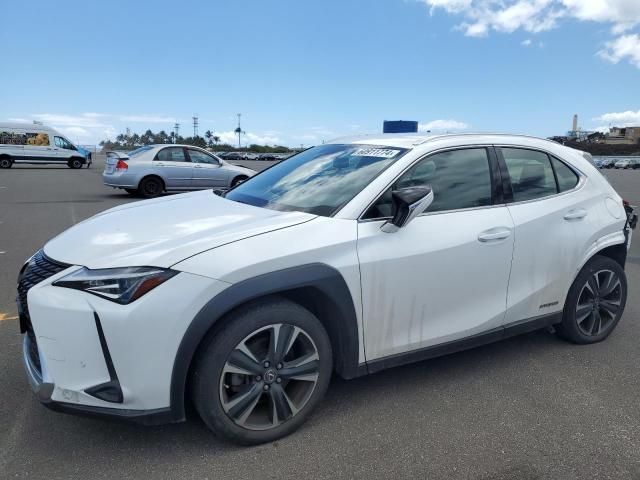 2019 Lexus UX 250H