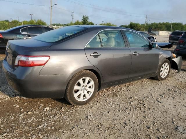 2009 Toyota Camry Hybrid