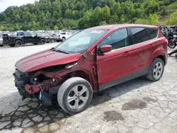 Vehiculos salvage en venta de Copart Hurricane, WV: 2014 Ford Escape SE