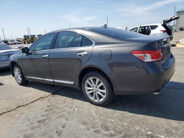 2010 Lexus ES 350