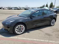 Salvage cars for sale at Rancho Cucamonga, CA auction: 2023 Tesla Model 3