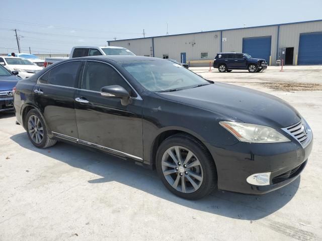 2010 Lexus ES 350