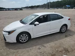 Salvage cars for sale at Greenwell Springs, LA auction: 2023 Toyota Corolla LE