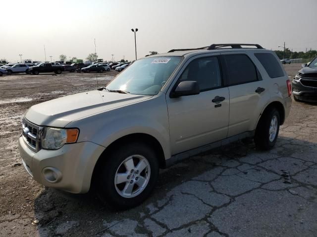 2010 Ford Escape XLT