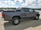 2020 Toyota Tacoma Double Cab