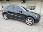 2008 Mercedes-Benz ML 350