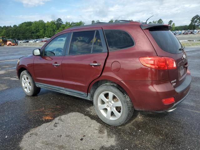 2009 Hyundai Santa FE SE