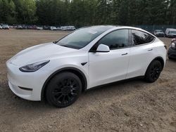 Salvage cars for sale at Graham, WA auction: 2023 Tesla Model Y