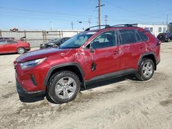 Salvage cars for sale from Copart Los Angeles, CA: 2023 Toyota Rav4 XLE