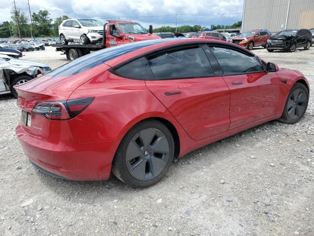 2021 Tesla Model 3