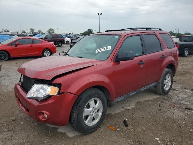 2012 Ford Escape XLT