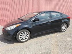 Hyundai Elantra gls salvage cars for sale: 2013 Hyundai Elantra GLS