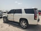 2015 Cadillac Escalade Platinum