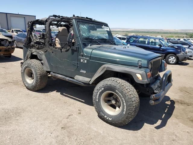 2002 Jeep Wrangler / TJ X