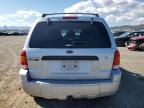 2007 Ford Escape XLT