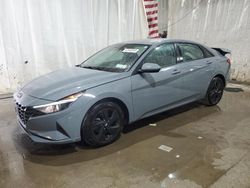 Hyundai Elantra salvage cars for sale: 2023 Hyundai Elantra Blue