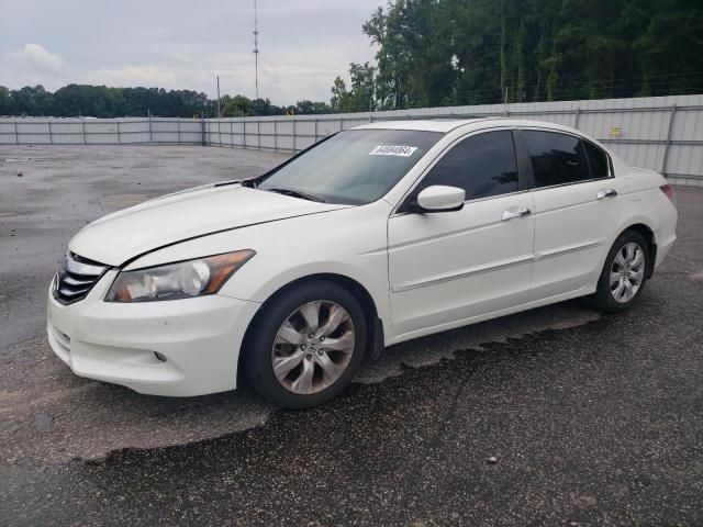 2008 Honda Accord EXL