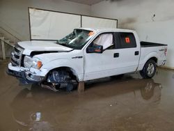 Ford salvage cars for sale: 2013 Ford F150 Supercrew