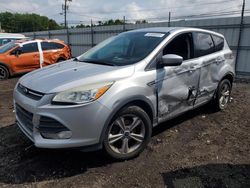 Ford salvage cars for sale: 2014 Ford Escape SE