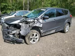 Salvage cars for sale at Cookstown, ON auction: 2014 Ford Escape SE