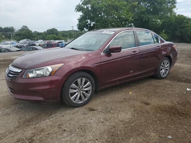 2012 Honda Accord EXL