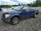 2009 Ford F150