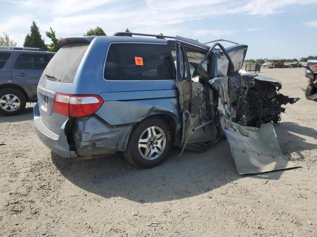 2006 Honda Odyssey EXL