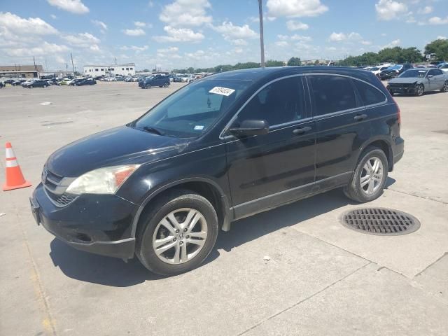 2010 Honda CR-V EX