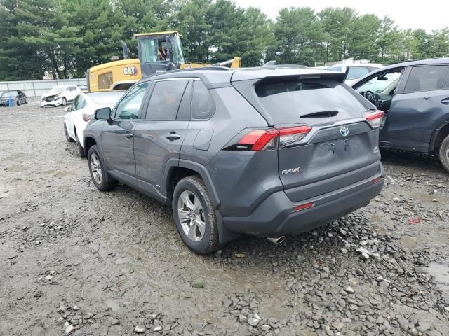 2024 Toyota Rav4 XLE