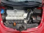 2006 Volkswagen New Beetle 2.5L Option Package 2