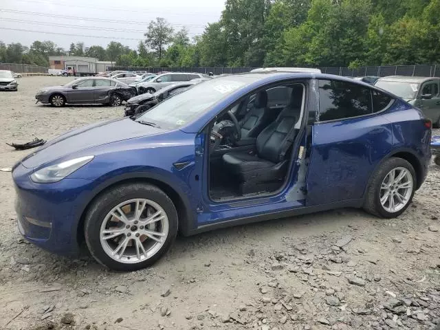 2020 Tesla Model Y