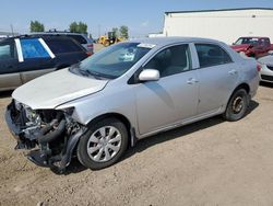 Salvage cars for sale at Rocky View County, AB auction: 2009 Toyota Corolla Base