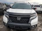 2020 Honda Passport Elite