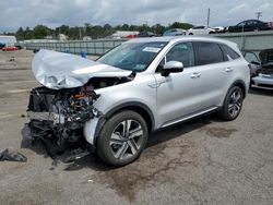 Salvage cars for sale at Pennsburg, PA auction: 2023 KIA Sorento EX