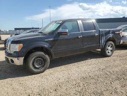 Ford salvage cars for sale: 2010 Ford F150 Supercrew