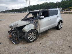 Salvage cars for sale at Greenwell Springs, LA auction: 2018 KIA Soul +