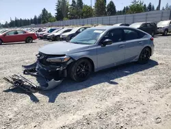 Salvage cars for sale at Graham, WA auction: 2024 Honda Civic Sport