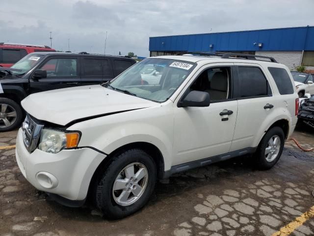 2010 Ford Escape XLT