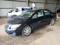 Toyota salvage cars for sale: 2009 Toyota Corolla Base