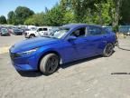 2023 Hyundai Elantra Blue