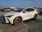 2024 Lexus NX 350H Base