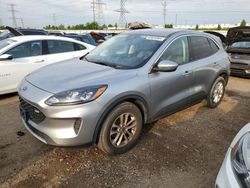 Ford salvage cars for sale: 2021 Ford Escape SE