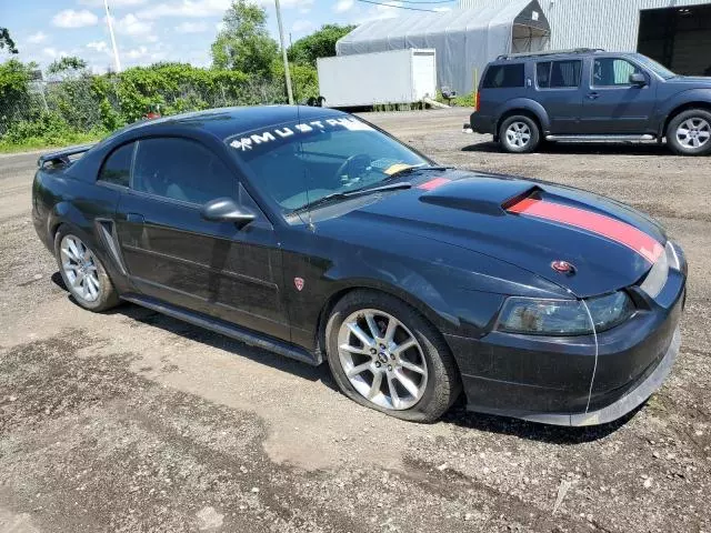 2000 Ford Mustang