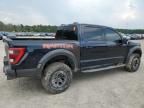 2021 Ford F150 Raptor