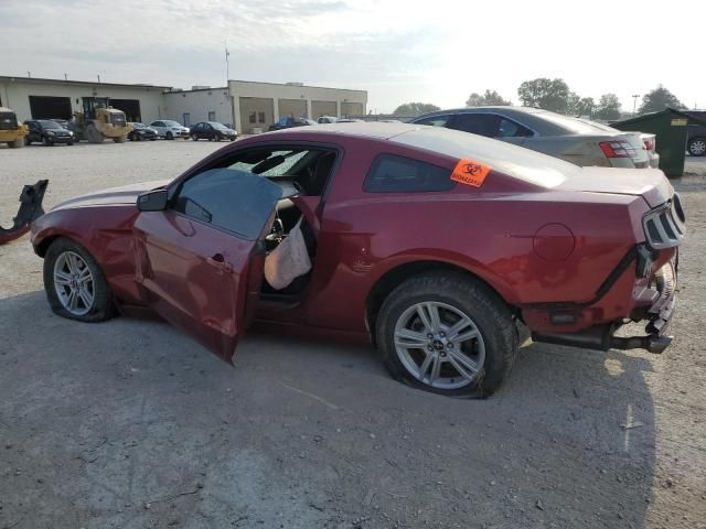 2014 Ford Mustang