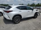 2024 Lexus NX 350H Base