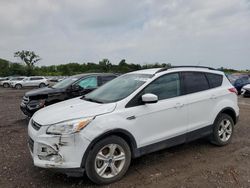 Salvage cars for sale at Des Moines, IA auction: 2016 Ford Escape SE
